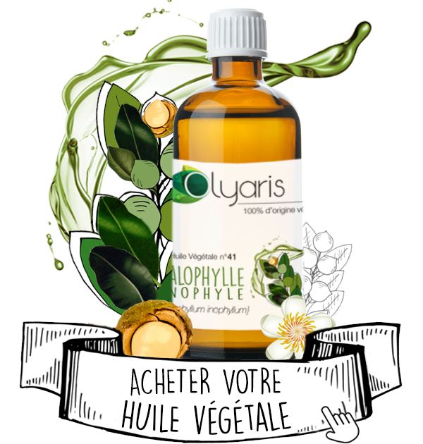 Huile Végétale de Calophylle Inophyle (Tamanu) : le Guide d'Utilisation Complet - Olyaris